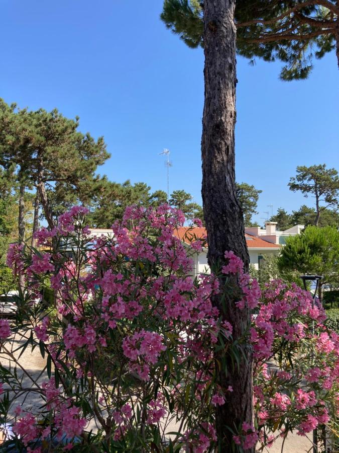 Villa Vittoria Lignano Sabbiadoro Bagian luar foto